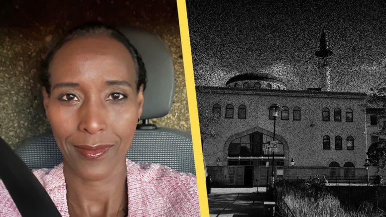 Artikelbild för artikeln: INTERVJU: Mona Walters varning till Sverige
