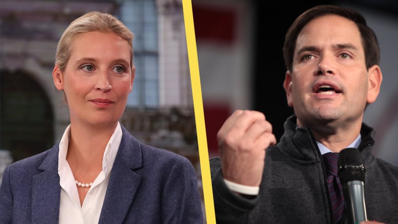 Artikelbild för artikeln: Amerikansk kritik mot stämpling av AfD som högerextremt