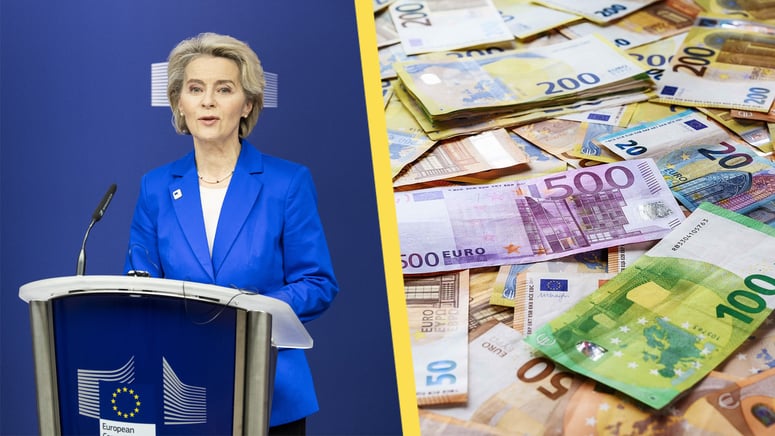 Artikelbild för artikeln: EU betalade organisationer för påverkansarbete