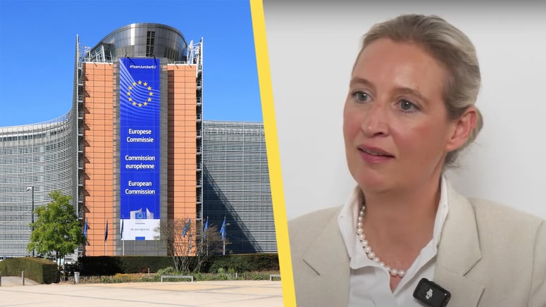 Artikelbild för artikeln: AfD-ledaren: Europa börjar likna Sovjetunionen