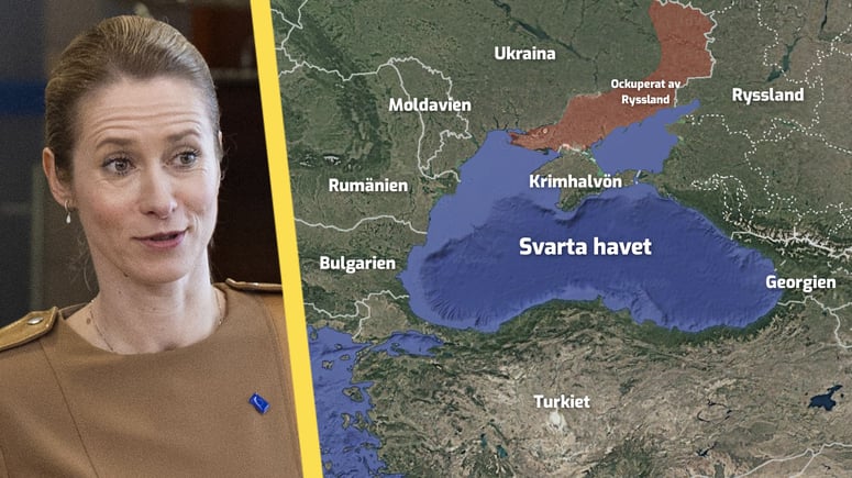 Artikelbild för artikeln: EU vill rusta upp i Svarta havet