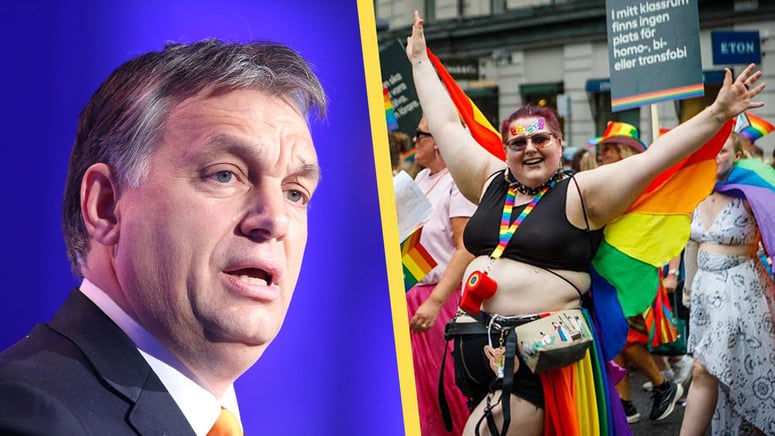 Artikelbild för artikeln: EU-politiker trotsar Ungerns Pride-förbud