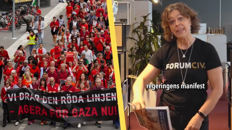 Artikelbild för artikeln: Sida-organisation bakom pro-palestinsk protest i Stockholm