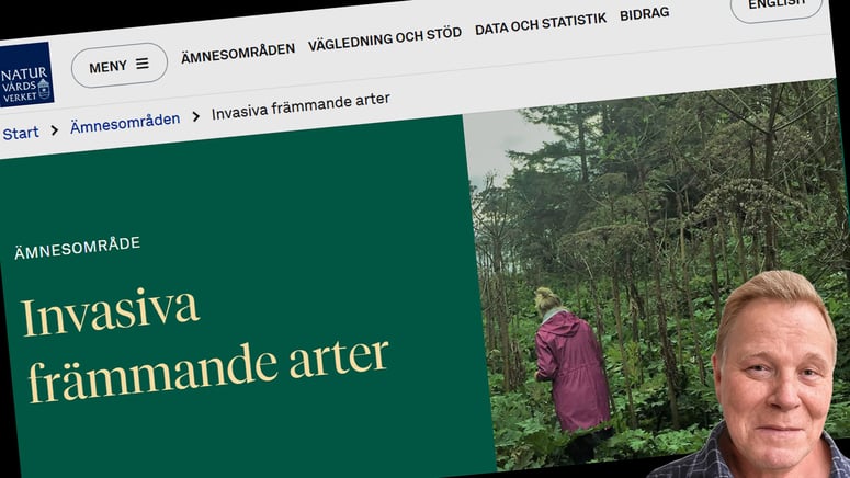Artikelbild för artikeln: Människan som "invasiv" – rasism eller klarsyn?