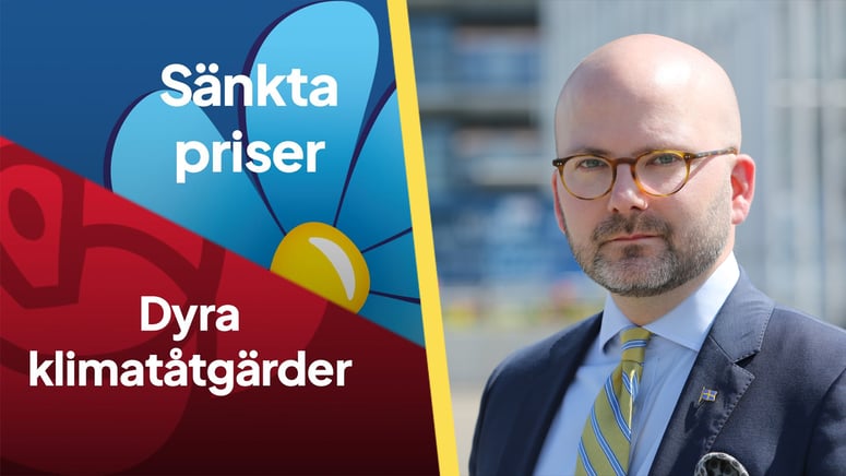 Artikelbild för artikeln: SD ledande i kampen för lägre levnadskostnader