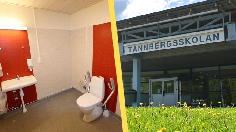 Artikelbild för artikeln: Arab våldtog 16-årig flicka på skoltoalett – slipper fängelse