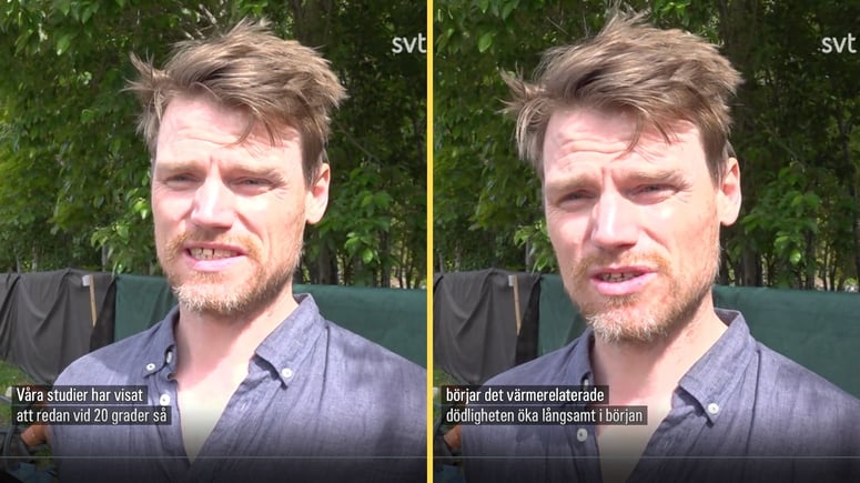 Artikelbild för artikeln: SVT:s klimatkrisforskare: Ökad dödlighet vid 20 plusgrader
