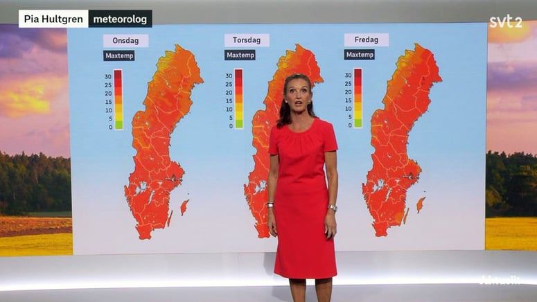 Artikelbild för artikeln: “Sverige brinner” vid 24 grader – SVT anklagas för klimatpropaganda