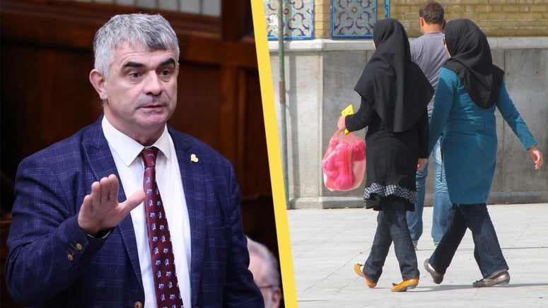 Artikelbild för artikeln: Parlamentsledamot varnar: Irländare riskerar bli en minoritet i sitt eget land