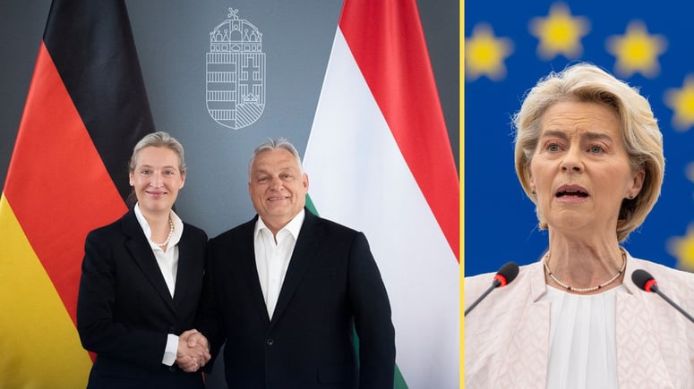 Artikelbild för artikeln: Orbán och AFD-ledaren i möte: "EU står inför stora utmaningar"