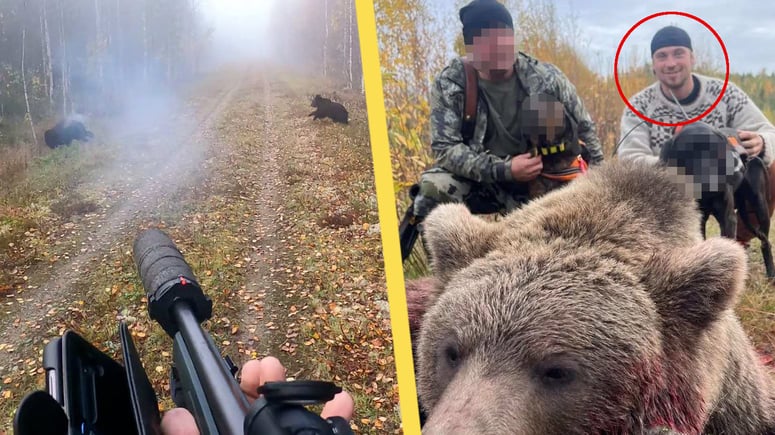 Artikelbild för artikeln: Efter djurplågeri-björnjakten: Nu åtalas norsk tv-kändis i Sverige