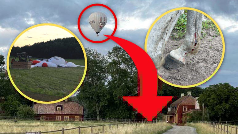 Artikelbild för artikeln: Invandrare dödade häst med luftballong – nu åtalas hästägaren