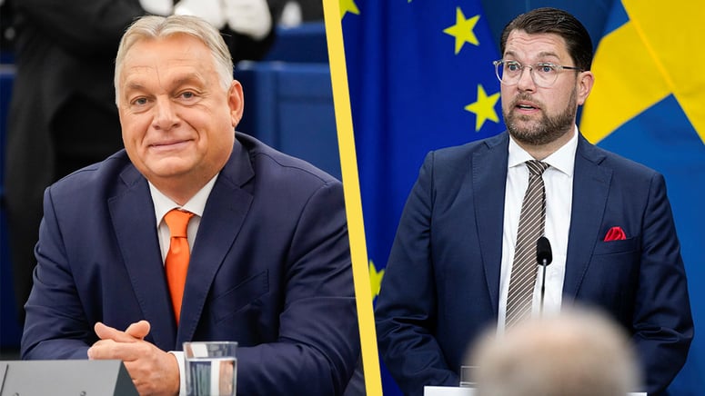Artikelbild för artikeln: Åkesson går på Kristerssons linje - kritiserar Orban