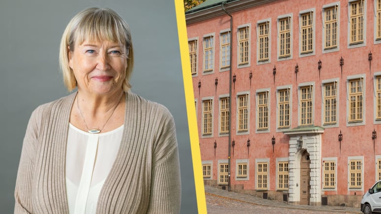 Artikelbild för artikeln: Hovrätten: Brottsligt tro på "rasligt homogen" stat