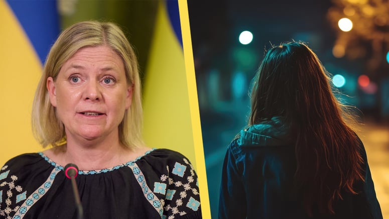 Artikelbild för artikeln: S skyller otryggheten i Sverige på Tidöregeringen