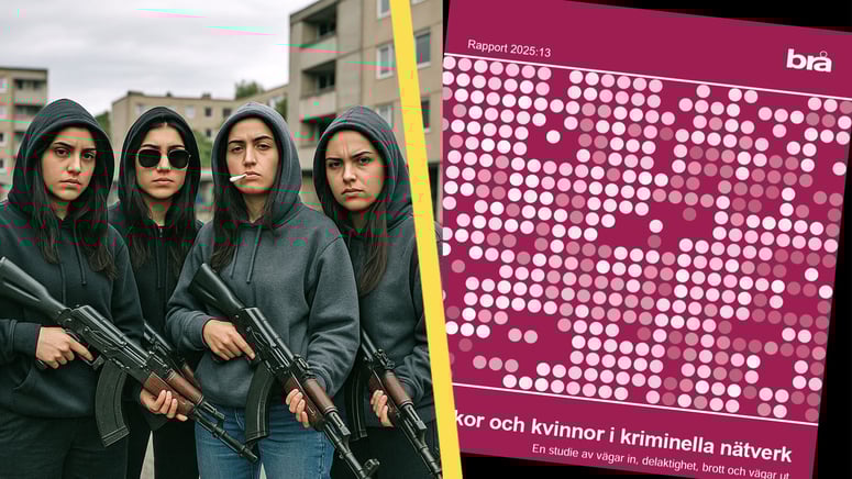 Artikelbild för artikeln: Jämställdheten ökar – inom gängkriminaliteten