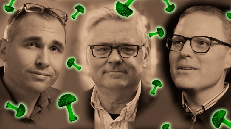 Artikelbild för artikeln: Grön korruption och ett fattigare Europa efter Stegra?