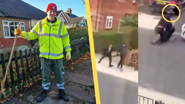 Artikelbild för artikeln: Skulle rasta hunden - höggs ihjäl av afghan som tog sig in i landet illegalt