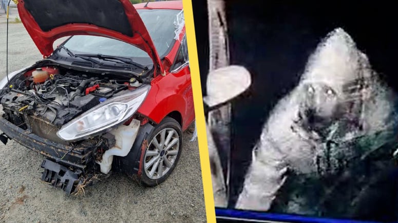 Artikelbild för artikeln: Tog sig in hos sovande granne, stal bilar – och körde i diket