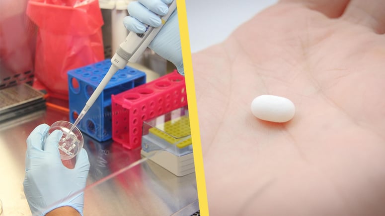 Artikelbild för artikeln: Vanligt förekommande läkemedel kan rensa kroppen på PFAS