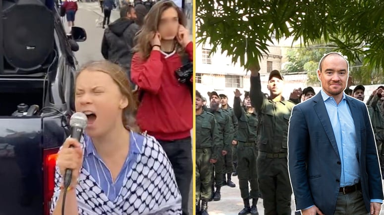 Artikelbild för artikeln: Ekeroth: Wokehögern – 'systemkritikerna' blir etablissemangets nyttiga idioter