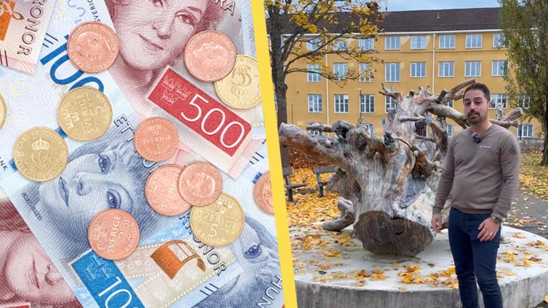 Artikelbild för artikeln: Konstverk av stubbe kostade nära en miljon kronor