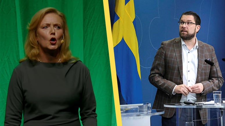 Artikelbild för artikeln: Nya C-ledarens första besked: SD ska stoppas