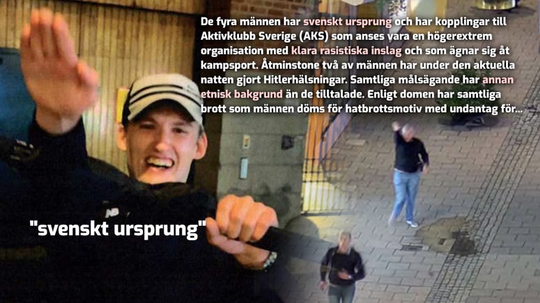 Artikelbild för artikeln: "Svenskt ursprung" – plötsligt blev etnicitet och ras väldigt viktigt