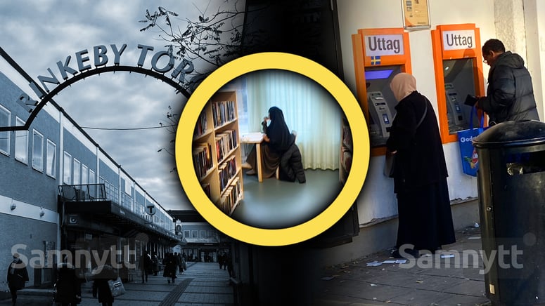 Artikelbild för artikeln: De förlorade stadsdelarna: "Man ser knappt några svenskar här"