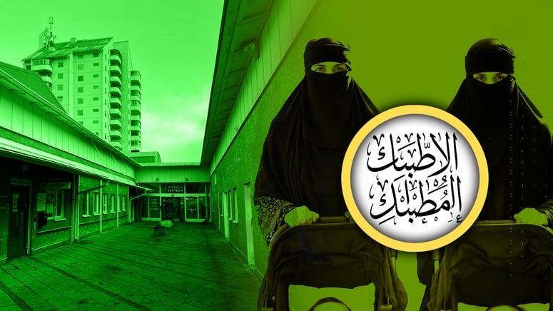 Artikelbild för artikeln: ”Det här är inte Sverige längre” – en rundvandring i Vivalla