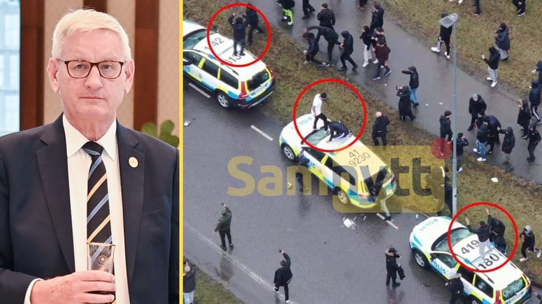 Artikelbild för artikeln: Bildt: Invandringen fungerar bra - brottsligheten en petitess