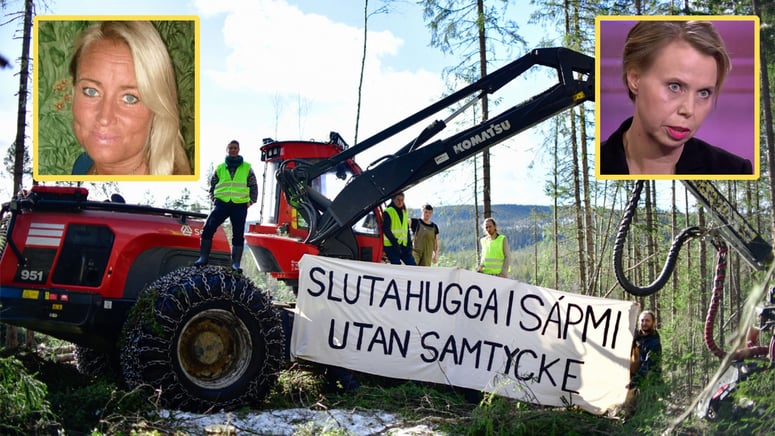 Artikelbild för artikeln: Hård kritik mot SVT efter ensidig rapportering om skogsavverkning