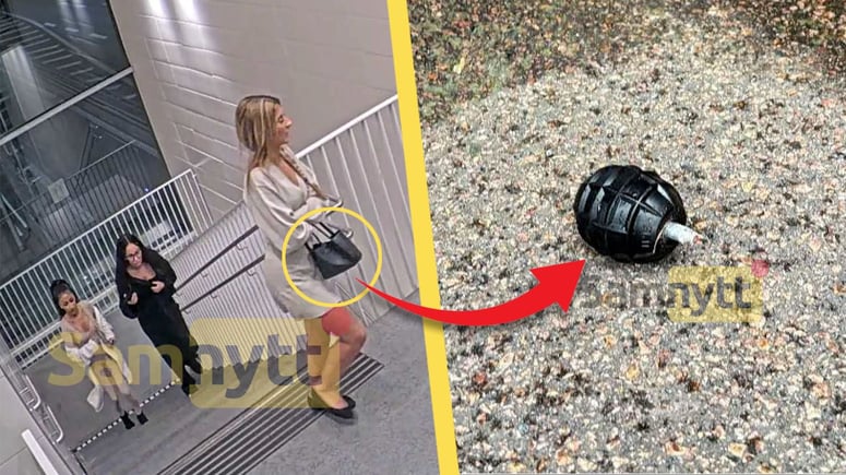 Artikelbild för artikeln: Tonårstjejer kastade handgranater i bostadsområden: "Walla, vi kastade"