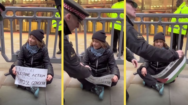 Artikelbild för artikeln: Greta gripen i London efter stöd till terrorstämplad organisation