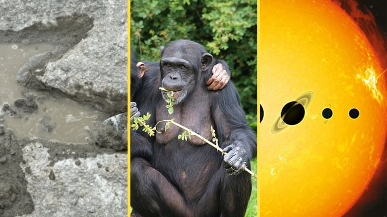 Artikelbild för artikeln: Vetenskapliga rön 2025: Dinosauriespår, eldens ursprung och sällsynt månstoft