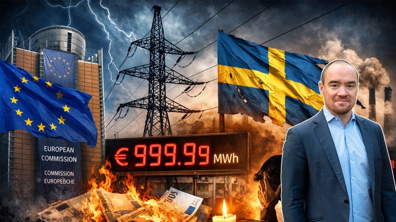 Artikelbild för artikeln: Ekeroth: EU saboterar elsystemet – och Sverige låter det ske