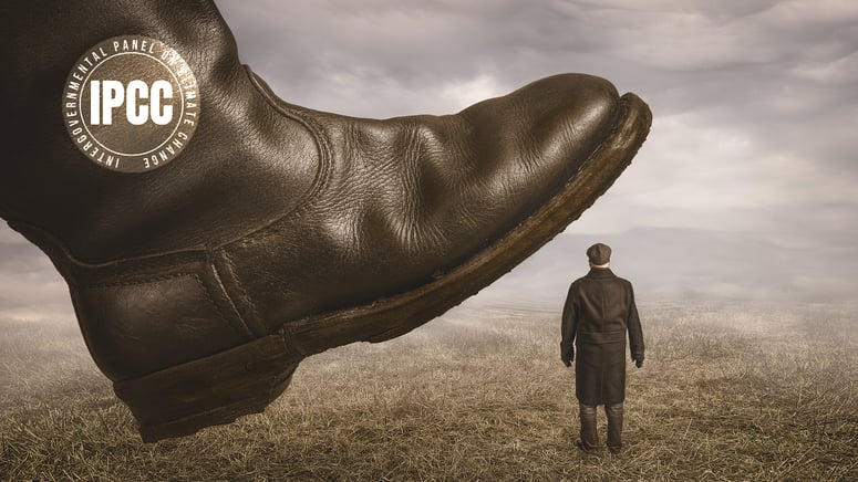 Artikelbild för artikeln: Studie: Klimatpolitik som styr livsstil riskerar att underminera miljöengagemanget