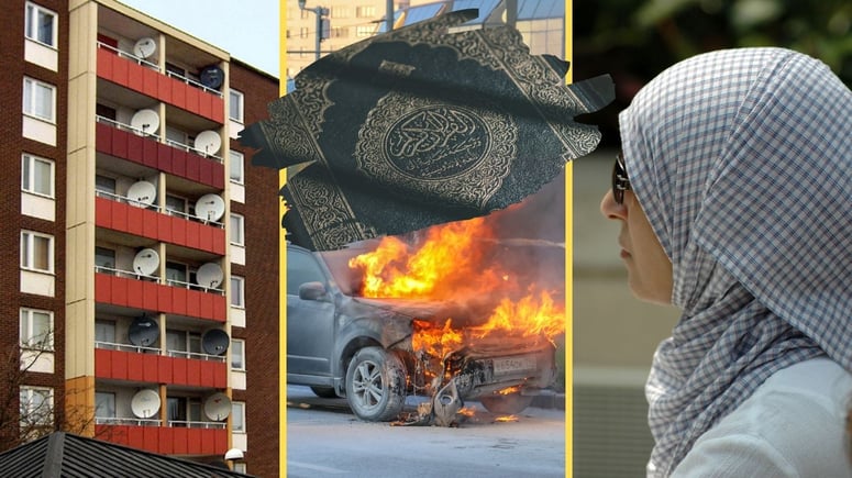 Artikelbild för artikeln: Invandrare: Vi har gjort Sverige bättre