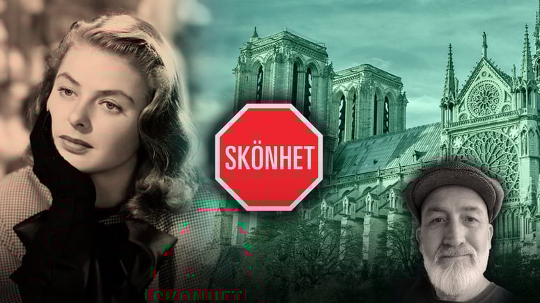 Artikelbild för artikeln: När skönheten blev suspekt – Sverige bygger bort sin själ