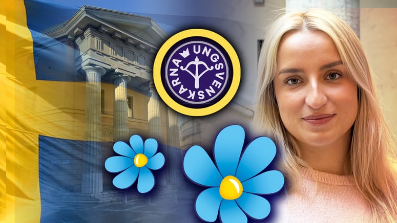 Artikelbild för artikeln: Denice Westerberg om vägen in i SD: ”Jag kände inte igen mig i Sverige"