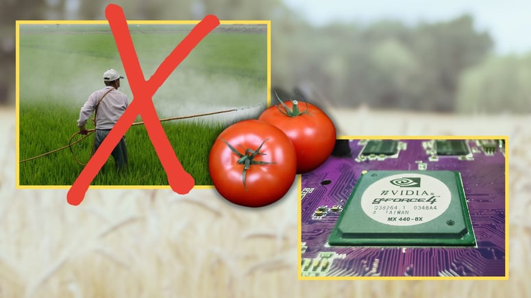 Artikelbild för artikeln: AI-teknik ger renare odlingar och mat