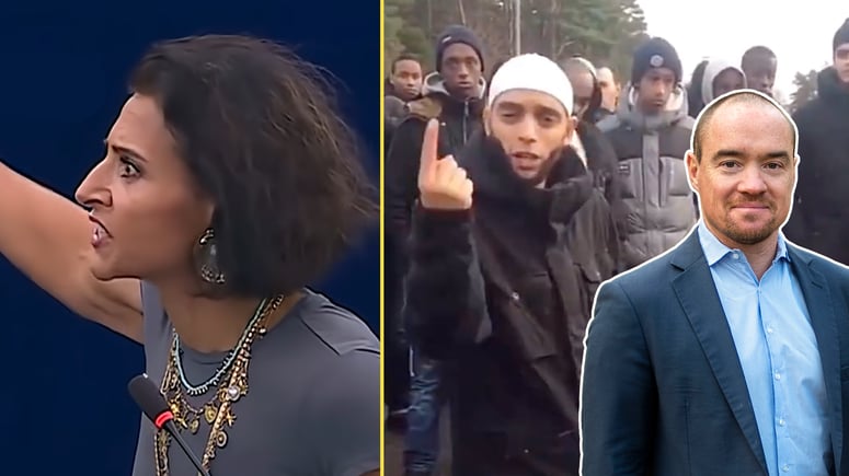 Artikelbild för artikeln: Ekeroth: "Djupt respektlöst att komma hit och förklara vad Sverige är"