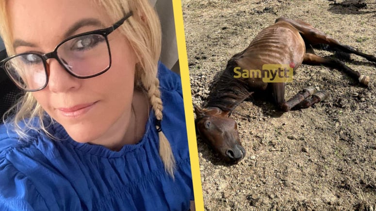 Artikelbild för artikeln: S-märkt medietopp plågade ihjäl sin häst – så blir straffet