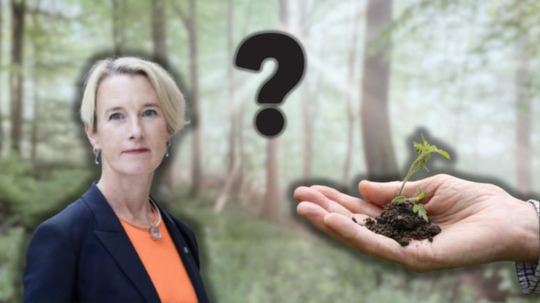 Artikelbild för artikeln: Skogsindustrin: Svenskarnas kunskaper om skogen låga