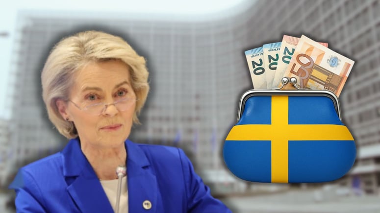 Artikelbild för artikeln: SD: Sverige måste ta strid mot EU för att stoppa överstatlig beskattning
