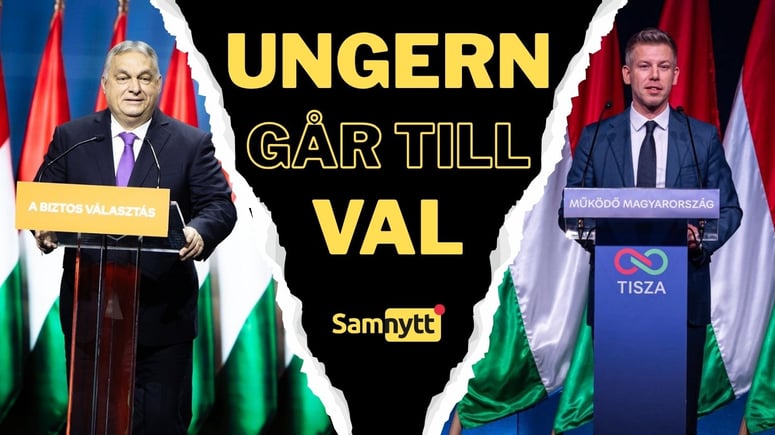 Artikelbild för artikeln: Orbán eller Magyar?