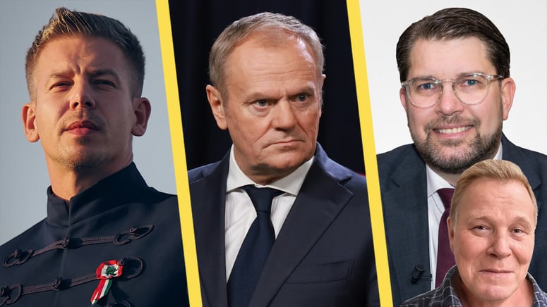 Artikelbild för artikeln: Dagerlind: När liberaler tystar Public Service kallas det reform – om SD gjorde samma sak vore det fascism