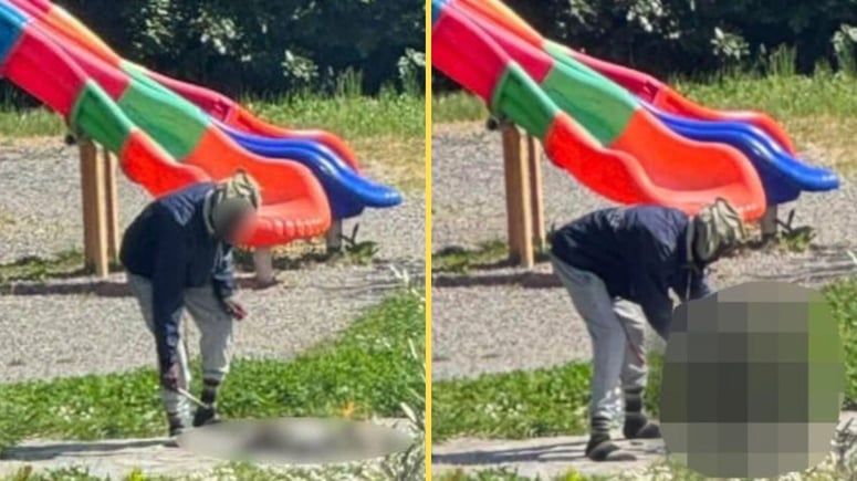 Artikelbild för artikeln: BILDEXTRA: Här grillar migranten en katt i parken - för att äta