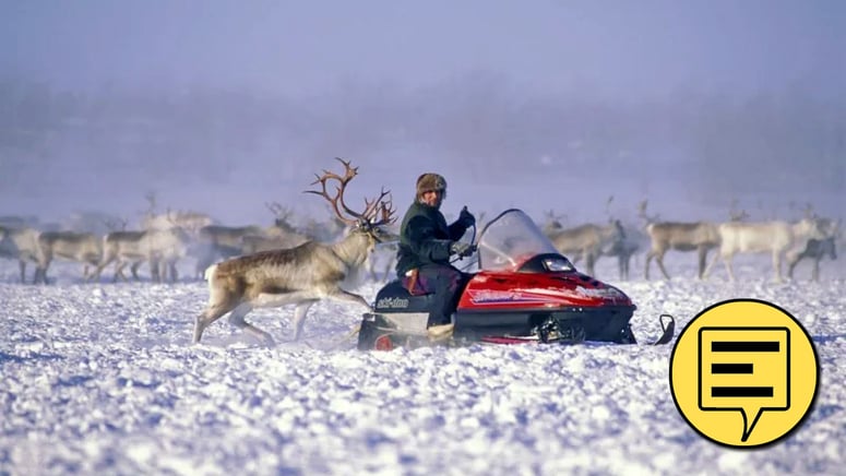 Artikelbild för artikeln: Svenskar är lika mycket urfolk som samer