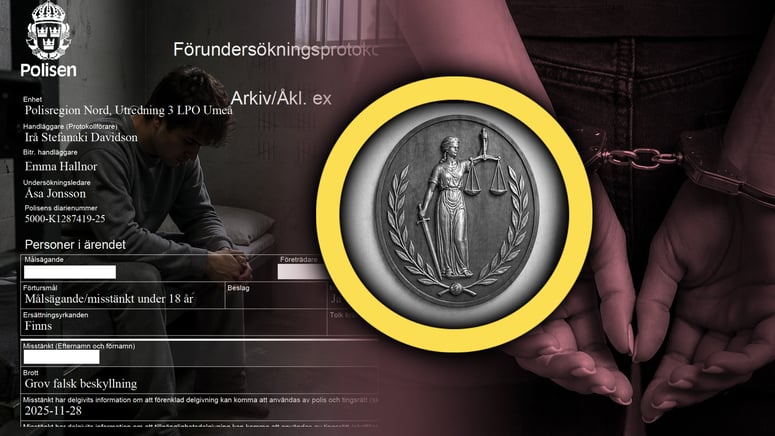 Artikelbild för artikeln: Påstod att hon drogs in på en toalett och våldtogs – nu döms tjejen själv